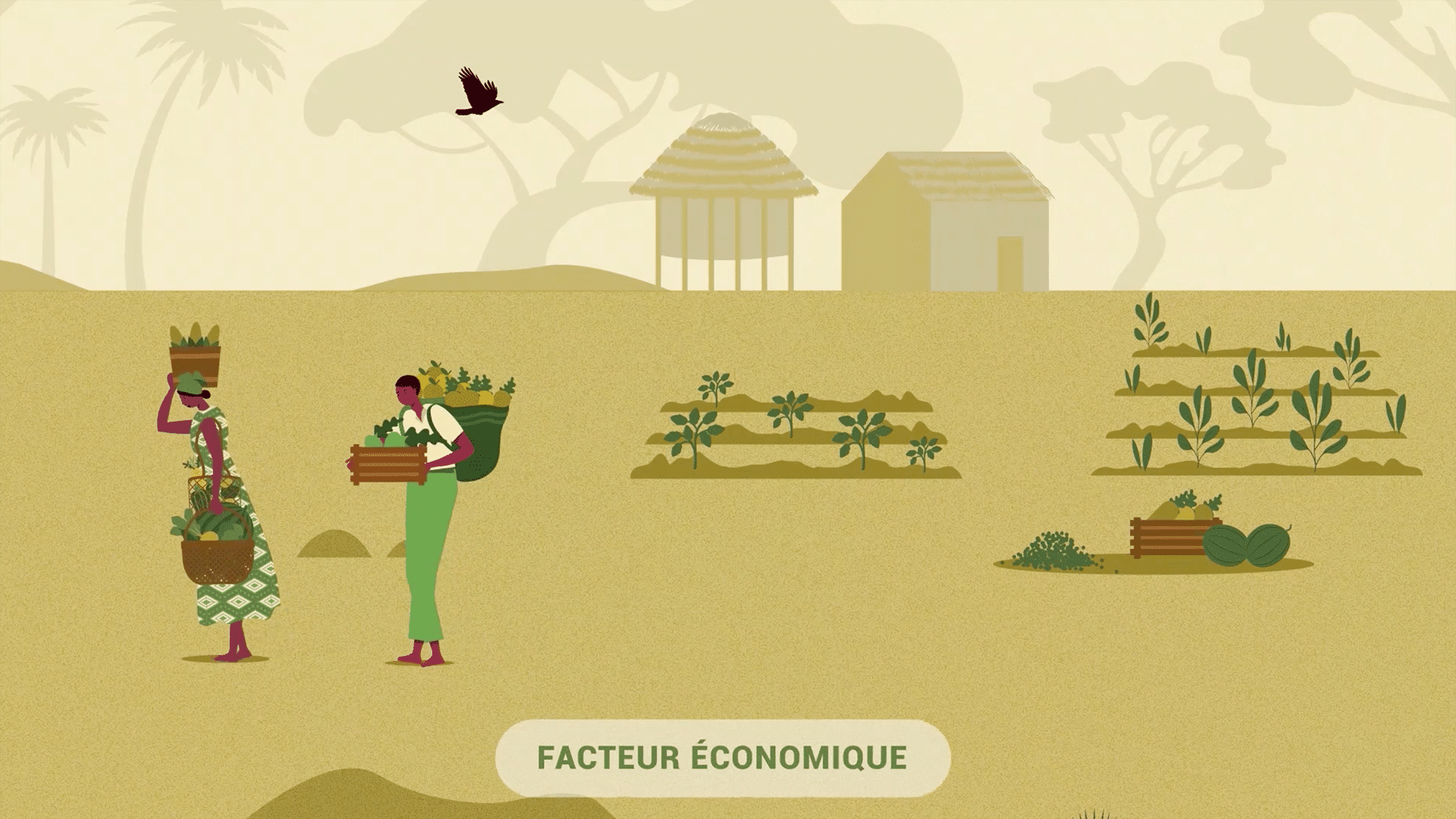studio-motion-design L'agence motion design Pixel Farandole a conçu ce motion graphics pour son client Agrisud.